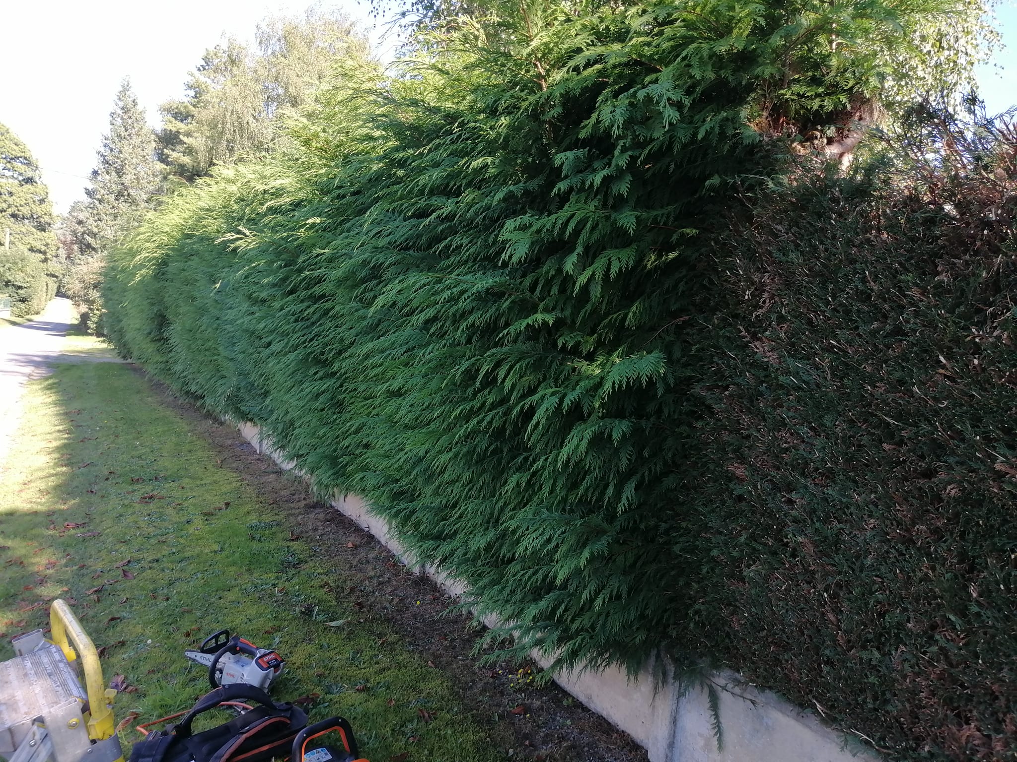 Bois de chauffage Creuse - lmp-paysage-motoculture.fr